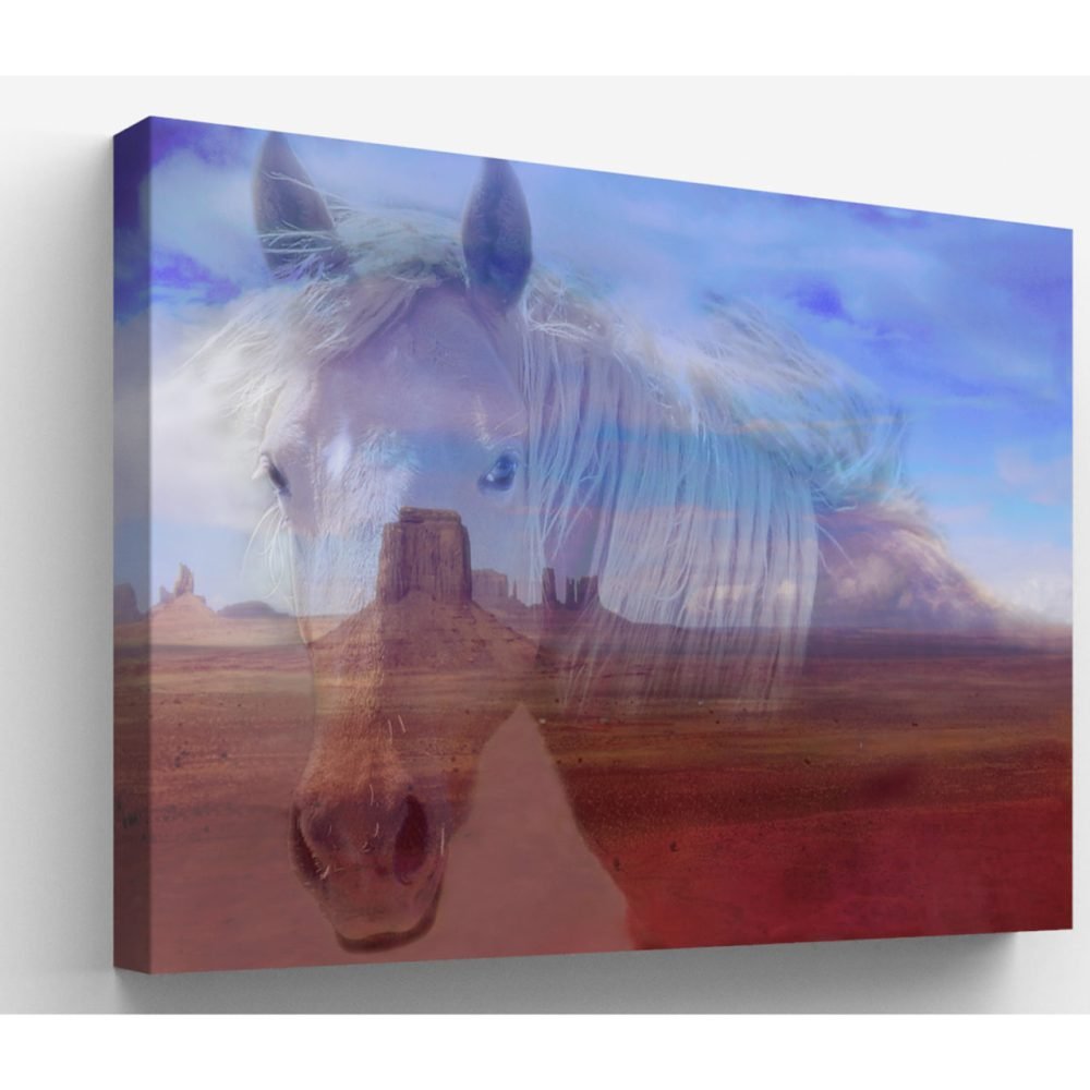Monument Valley Mare