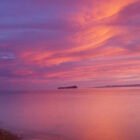 Baja Twilight