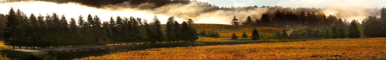 Paradise Ridge Sunset