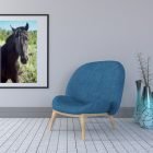 Wild Baby Stallion Portrait