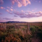 Durango Dusk