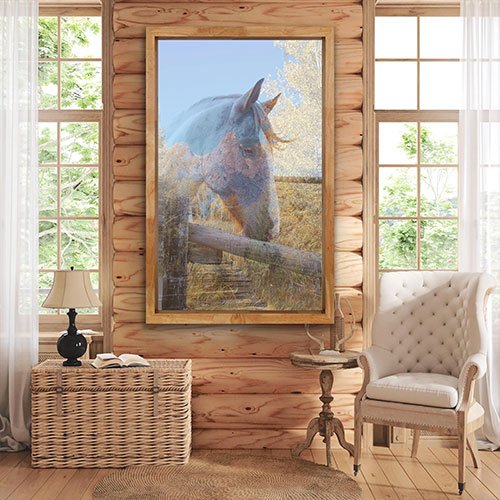 Horses & Wildlife Photographs