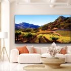Jordan Vineyard