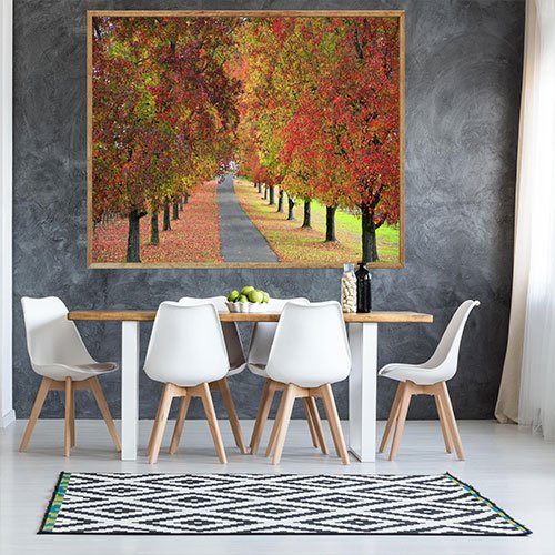 Landscape Photographs