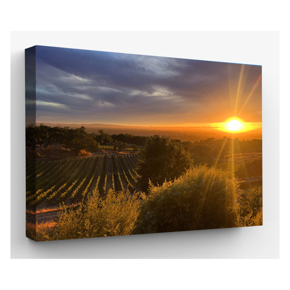Paradise Ridge Sunset