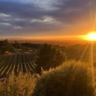 Paradise Ridge Sunset