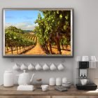 Toad Hollow Summer Vineyard