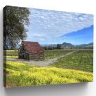 Westside Barn with Mustard