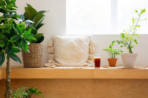 Bringing the serenity and beauty of nature into your home and office
