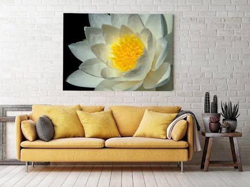 Bringing the serenity and beauty of nature into your home and office 